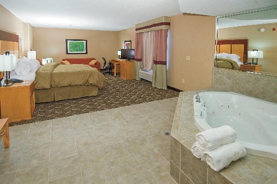 Comfort Suites Airport